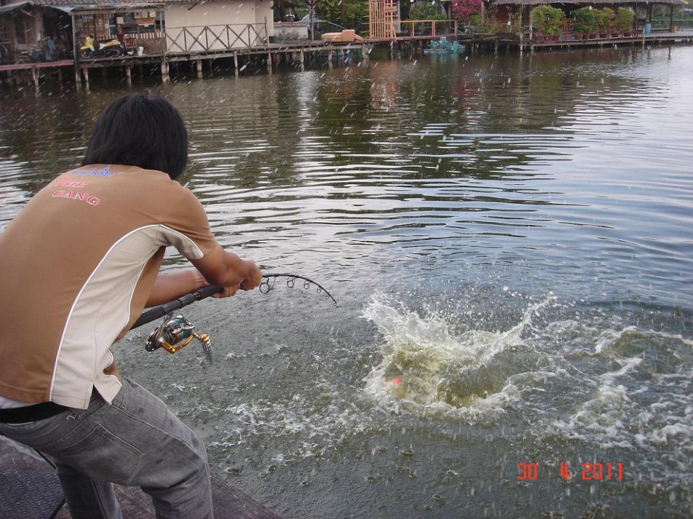 [q][i]อ้างถึง: งูผี posted: 01-05-2554, 13:14:48[/i]

ไม่เห็นบ้าพลังเลยครับ ออกแนวบ้ากามมากกว่า  :