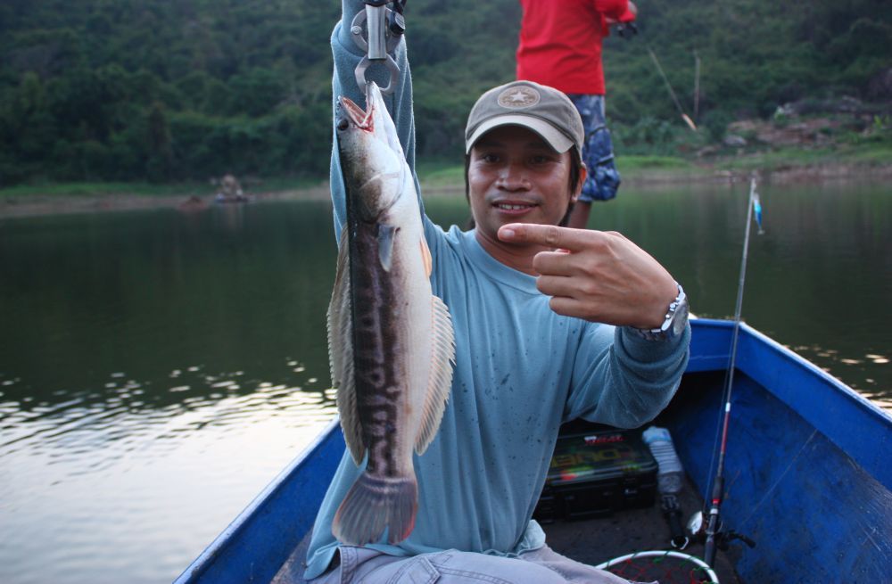 ปลาโดไซร์โตขึ้นมาหน่อย กัดสปูลเฉยเลย :laughing: :laughing: