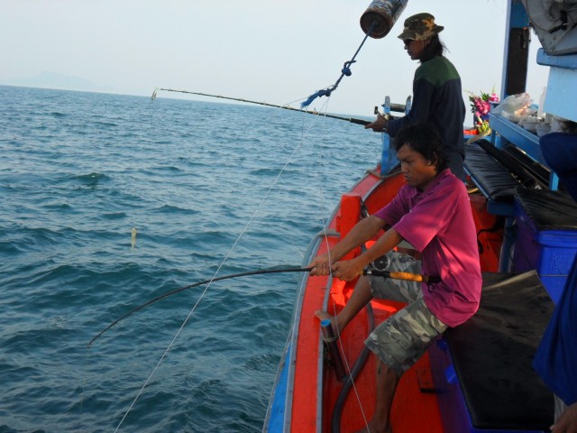 จัดกันอย่างต่อเนื่องปลาฉวยเหยื่อด