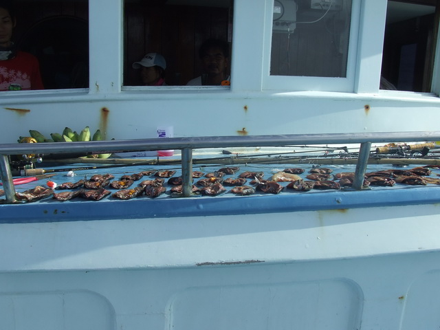 หน้าเรือยังมี ของฝากครับ
