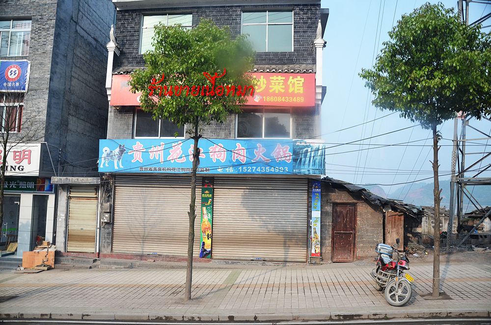 ร้านขายเนื้อสุนัขครับ คงยังไม่ถึงเวลาเปิดบริการ :ohh: :ohh: :ohh: