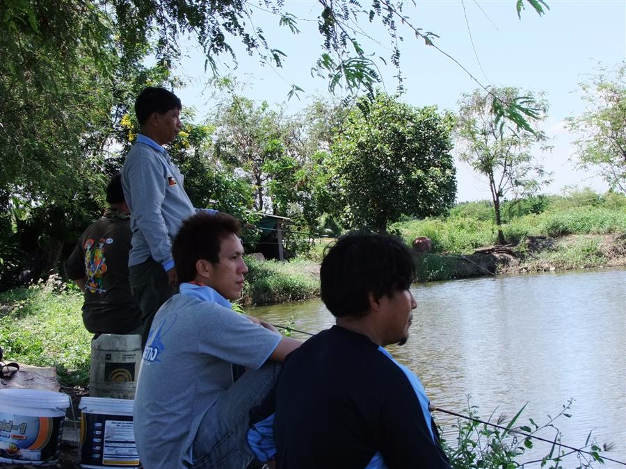 [b]เห็นแล้วก็คันมือ ตกปลานิลมั่งดีก่