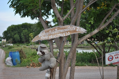 ทางเข้าโฮมกระเตงลุงประสิทธิ :laughing: :laughing: :laughing: