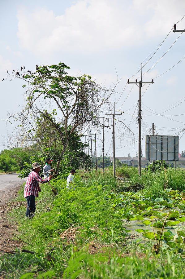 

น้ำอ่ำหวดไม่ยั้งเลยทีเดียว ... เพราะก่อนหน้านี้เค้าพึ่งโดนกัดไปเต็มๆคำ แต่พอวัดแล้ว วืดดดดดด  ..
