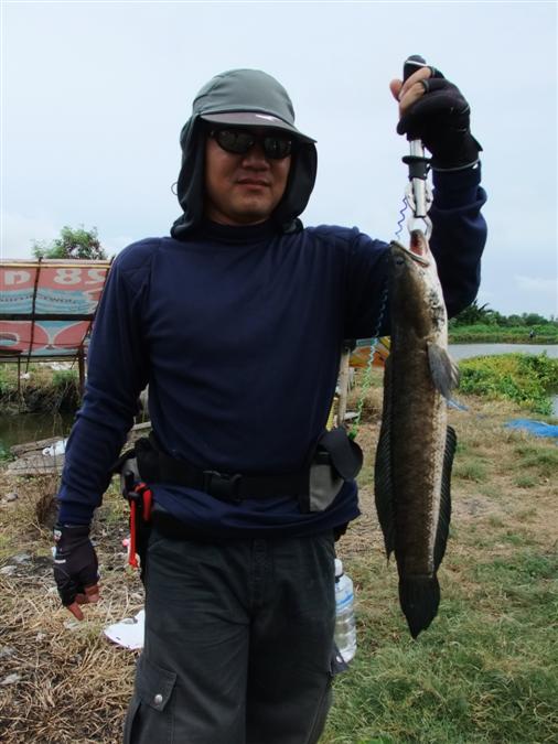 [b]น้าคชา (silstar) คร๊าบ อิอิ[/b]  :cool: :cool: :cool: :cool: :cool: