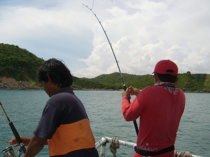กำลังเดินกลับมาท้ายเรือ คันของผมก็ทำงานอีกแล้ว  :love: :love: