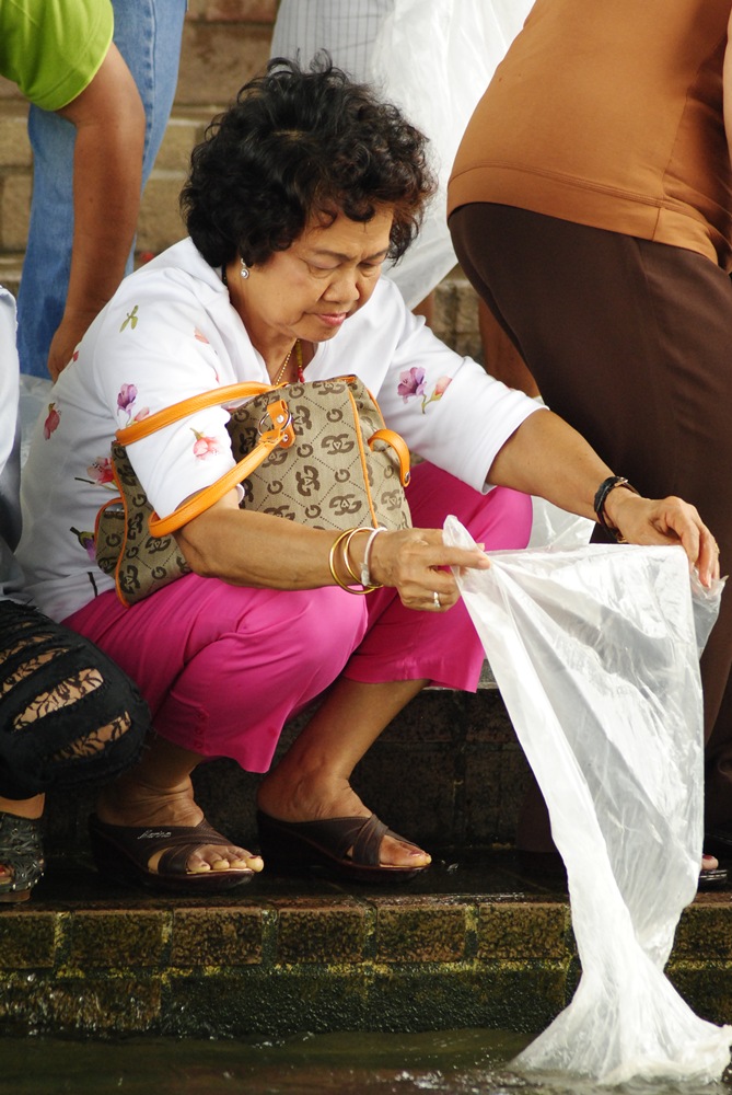 สว.ก็มาปล่อย  ทำบุญแบบนี้ จิตใจสดใส 