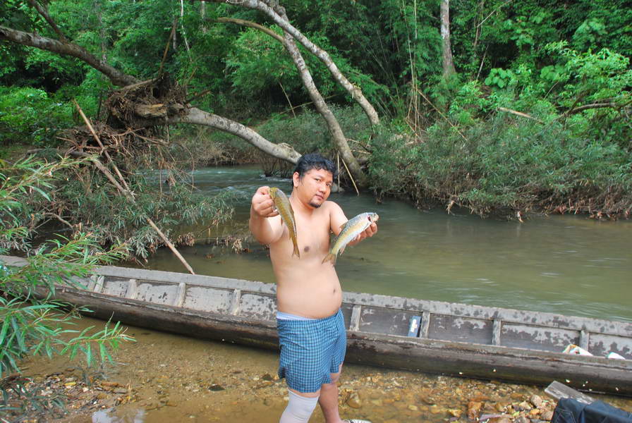ปลาพลวงน้าเนตรได้มาเดียวน้าไข่จะท