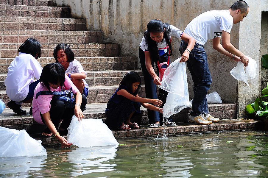 แล้วฝั่งนี้มีอะไรหว่าคนถึงไม่ค่อยมามุงกัน :think: :think: :think: