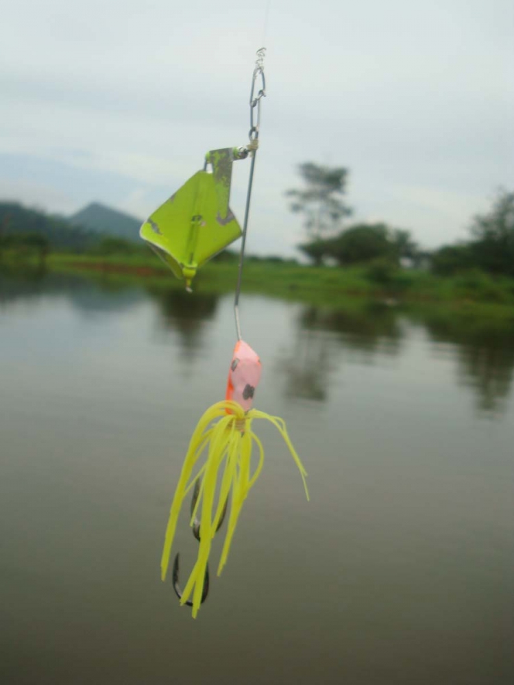 ดูสภาพดิ