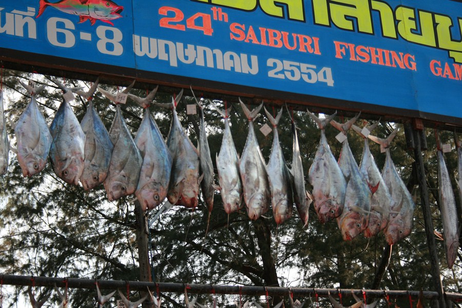 โฉมงามรวม