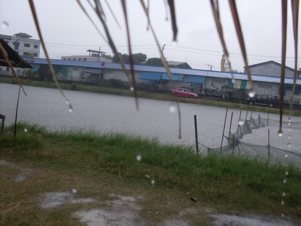 ฝนฟ้าก็มา