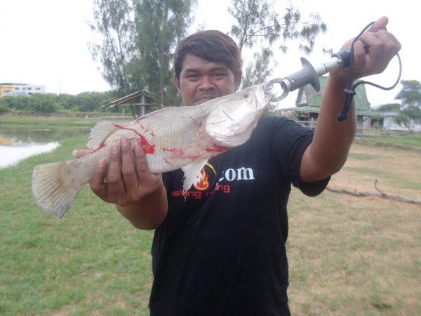 ขอหล่ออีกสักหน่อย กับตัวเดิม 
