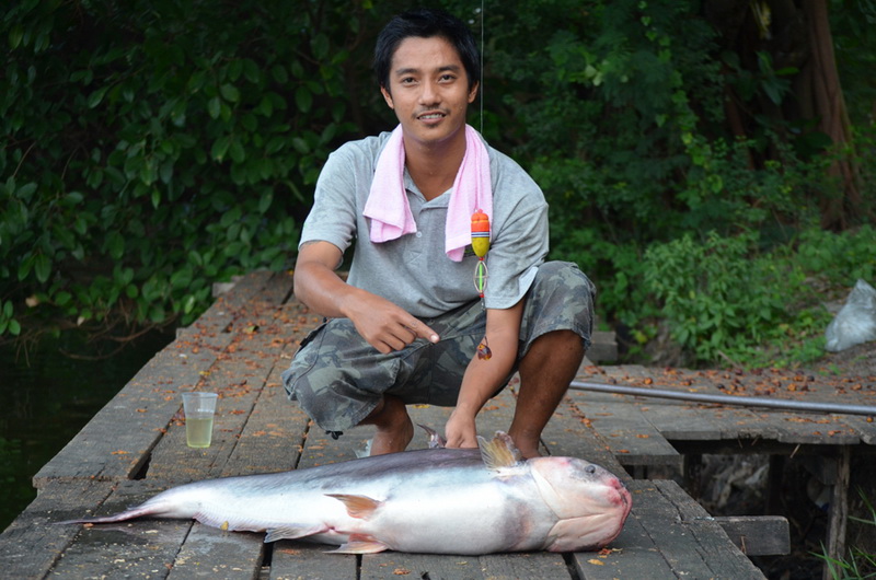 นี่แหละครับผลงานของน้องเอก และมีฉา