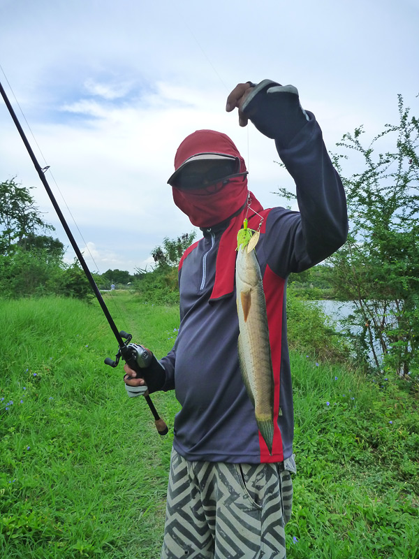  [b]เดินต่อมาอีกติ๊ด อูย Spinnerbait[/b] :love: :grin: :grin: 