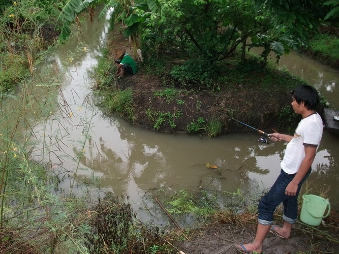 หมาย คับฝนมันตก แดดไม่ออก ได้น้องช่อนมา 4 หน่วยเอง..