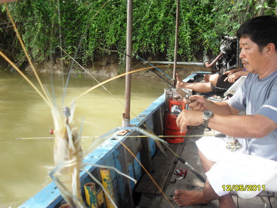 ยังไม่ได้ปลดเลย :cool: :cool: