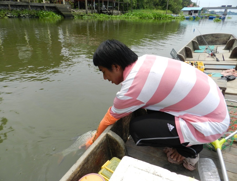 


ปล่อยครับตัวนี้เหมือนจะท้อง ลุงแดงบอกกินตัวเด๋วพอแล้ว อ่ะเคงั้นปล่อยเค้าครับๆๆ