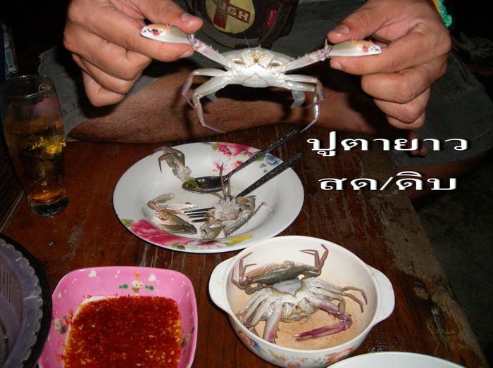 ปูทะเลสดๆ  ดิ้นกระแด่วๆ หักก้ามแงะต