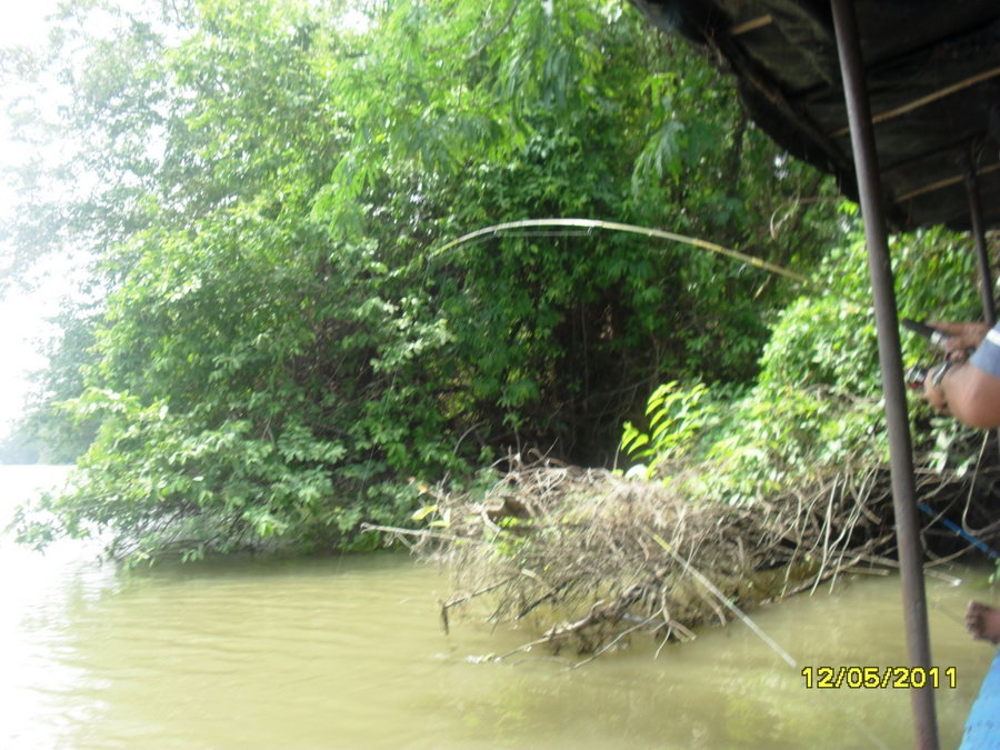 [q][i]อ้างถึง: ศาลายอด posted: 17-05-2554, 01:21:43[/i]





โอ้วววววววว......................