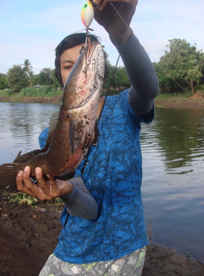 เบ็ดตัวเดียว360องศาเต็มเงี่ยงเบ็ดที