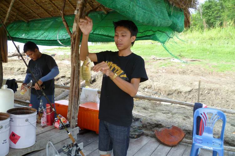 ฝ่ายหากับข้าวก็หากันต่อไป ได้มาอีก