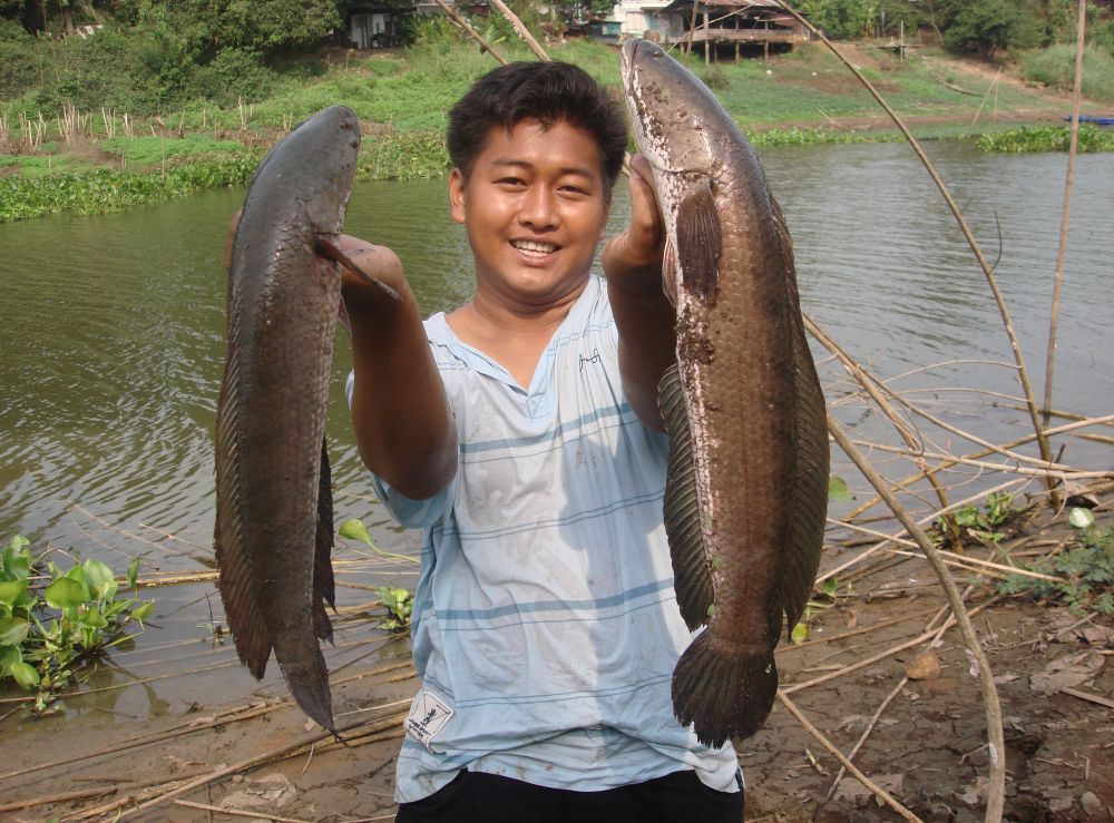 สิ่งที่เราอยากเจอในทุกๆปีแต่น้อยครั้งมากที่จะเจอ :smile: