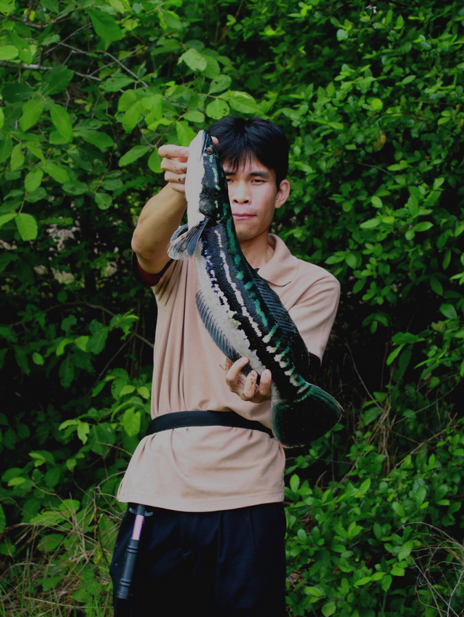 [q][i]อ้างถึง: narita posted: 19-05-2554, 21:23:04[/i]

 :love: :love: :love:[/q]
