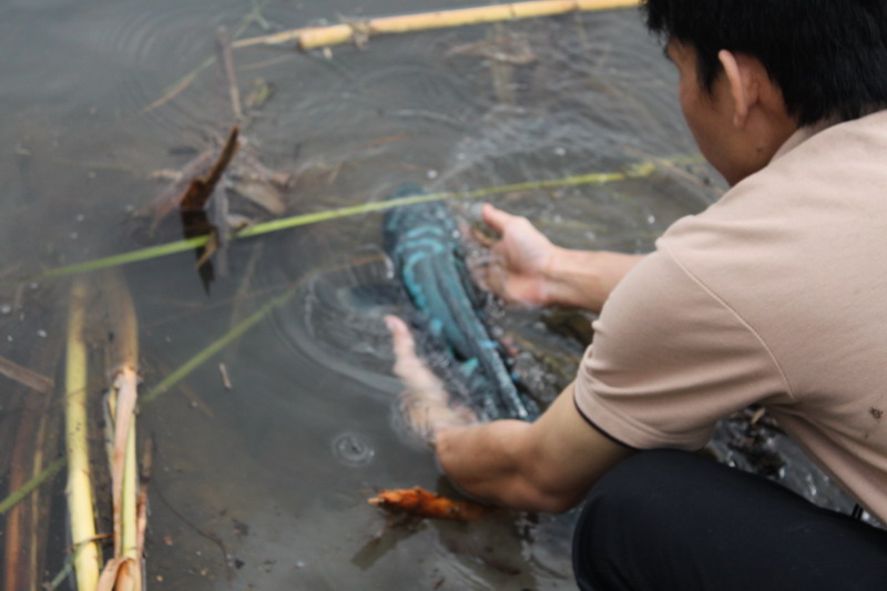  [b]ส่วนคู่เขาอีกตัว ตื้อได้ไม่นานคร