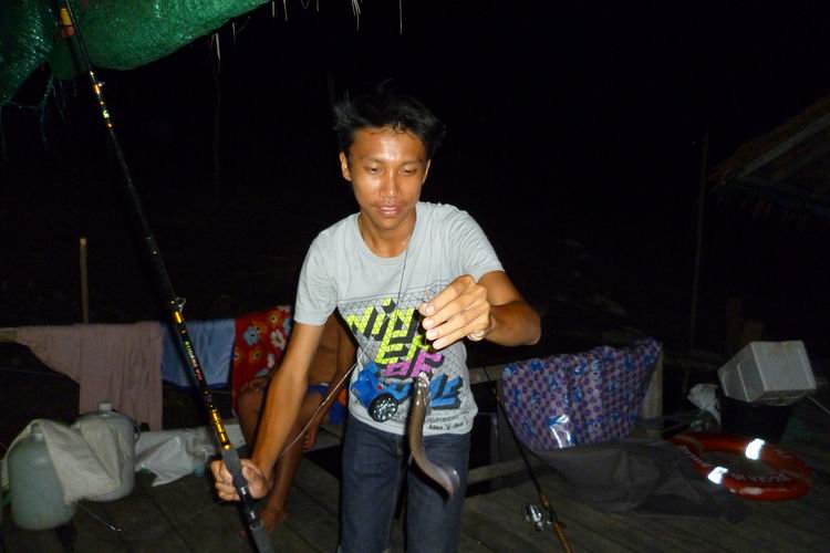 แล้วก็มาปลาเลยฉลาด มากินเบ็ดก็ยังดีที่ยังมีปลา  :laughing: :laughing: