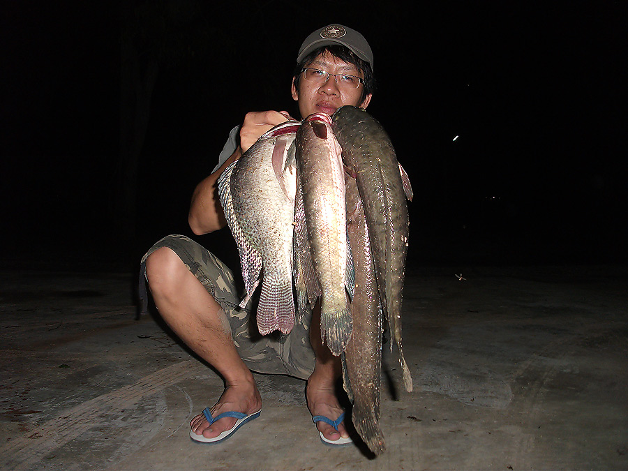      จบแล้วค๊าปป     :sleeping: :sleeping: :sleeping: