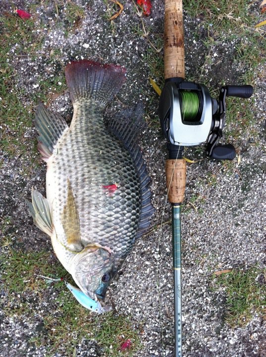 ปลานิลกิน Crankbait... งงครับ  :ohh: