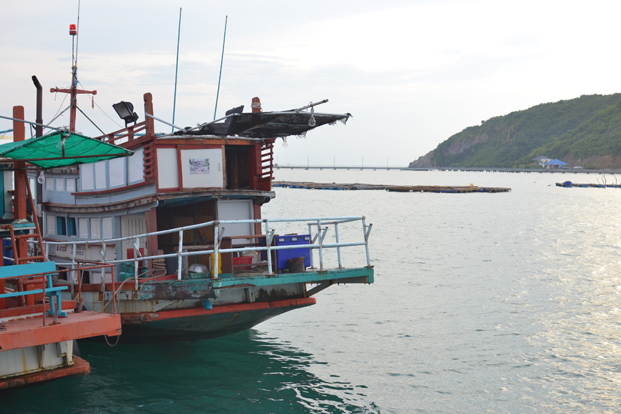  [b]เรือด้านนอกคุ้นเคยกันดี . . . เรือไต๋นนท์นั่นเอง บริการดีประทับใจ แม่นหมายถึงไหนถึงกัน 

ที่พู