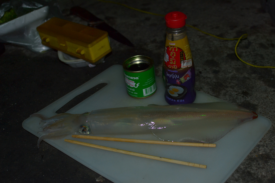  [b]เลยตัดสินใจรบกวน

ผม(ตะโกนเพราะเรือจอดห่างฝั่ง) - ไต๋นนท์คร้าาาาาบ

เสียงหนังหยุดทันที รู้เล