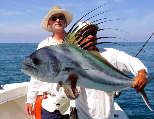 Roosterfish


  :love: :love: :love: