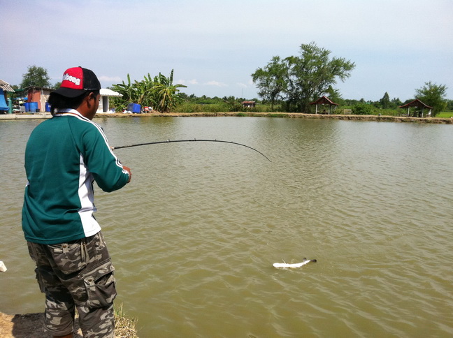 เอ้ายอมแล้วเหรอ อย่าเพิ่งสิกำลังมันส์เลย อิอิ



[q][i]อ้างถึง: สุขสำราญ posted: 21-05-2554, 22: