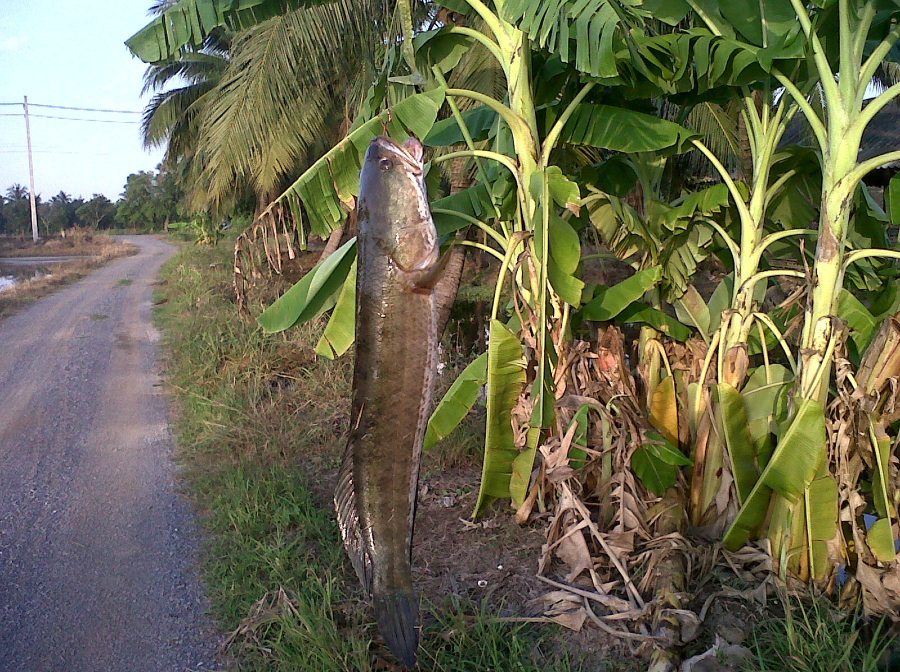 บินมาโชว์ตัวหน่อยครับ