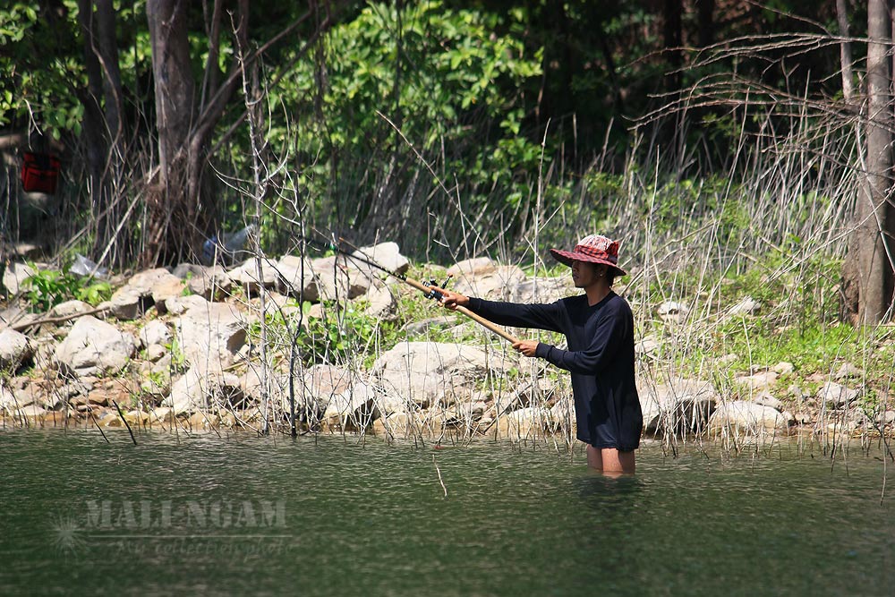 [q][i]อ้างถึง: jimlim2509 posted: 22-05-2554, 20:25:03[/i]




ภาพสวย...ตลอด..ครับน้าหมอ.... :c