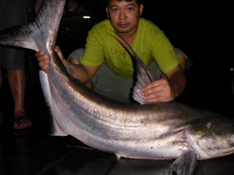 ละแล้ว  ก็มีเทพา  มาขึ้นหน้าซุ้ม  ของ