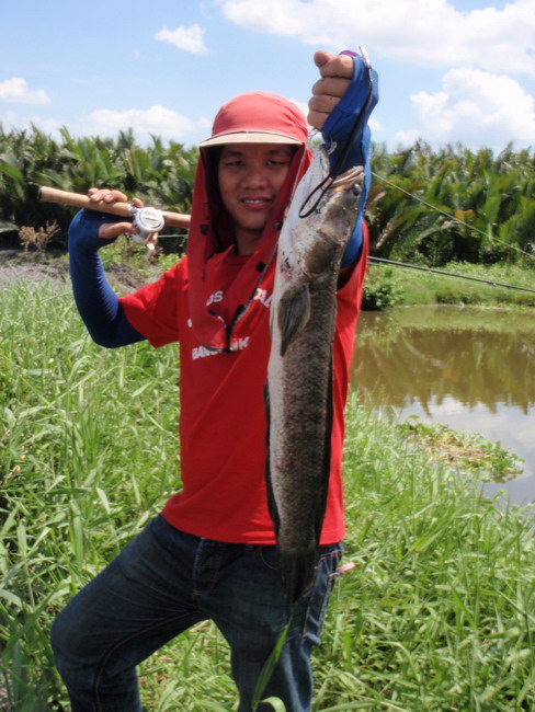 ใหญ่จริงๆๆๆ  :cool: :cool: :cool: :cool: :cool: :cool: ปลาช่อนนะครับ............อย่าคิดมาก  :laughin