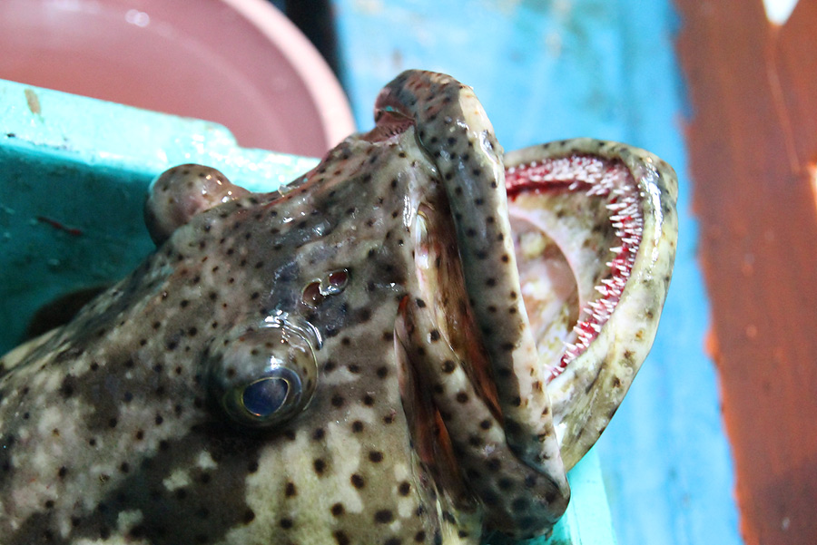  :grin: