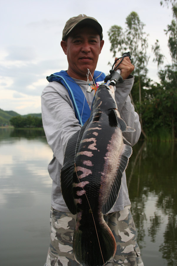 ไอ้หย๊ะ....... :cool: :cool: :cool:........หล่ออย่างแรง.... :grin: :grin: :grin: