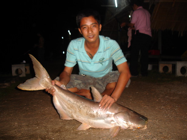 ปลากินเรื่อยๆครับ :smile: :smile: :smile: