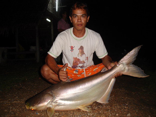 พอฝนหยุด....กินดีครับ :smile: :smile: :smile: :smile: