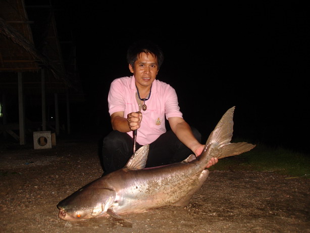 พวกเราขอลาด้วยภาพนี้ครับ ............ขอขอบคุณ :smile: :smile: :smile:
siamfishing     น้าๆทุกท่านที