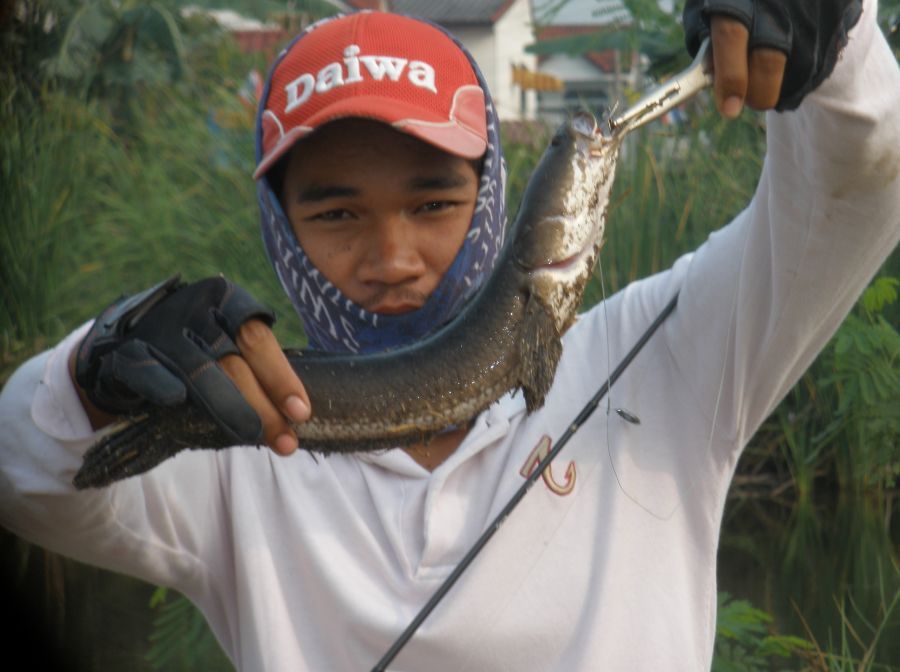  [q]ขอหล่ออีกสักภาพคับ[/q]