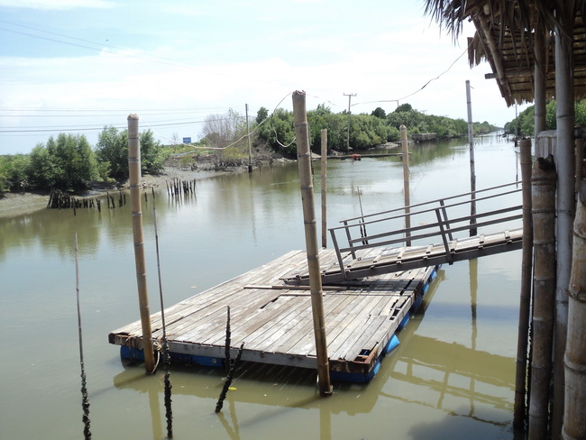 สิ่งที่เพิ่มเติมมาในปัจจุบันคือ "ท่าลงเรือ" จะเปิดเร็วๆ นี้ครับ.. สำหรับรับนักท่องเที่ยวออกไปชมปลา