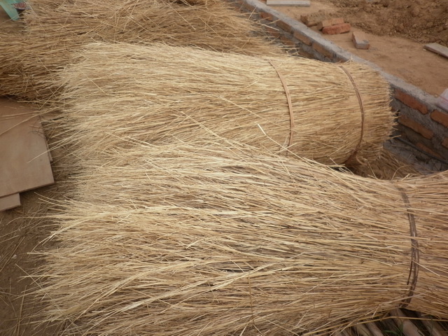 นี่เป็นวัสดุมุงหลังคา.......เป็นหญ้าชนิดเดียวกับกับชาวซูดานใช้มุงหลังคาที่พักของเขา :ohh: :ohh: :ohh