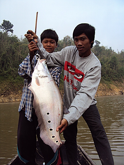 [q][i]อ้างถึง: prateep1968 posted: 26-05-2554, 15:41:41[/i]

มารอชมส