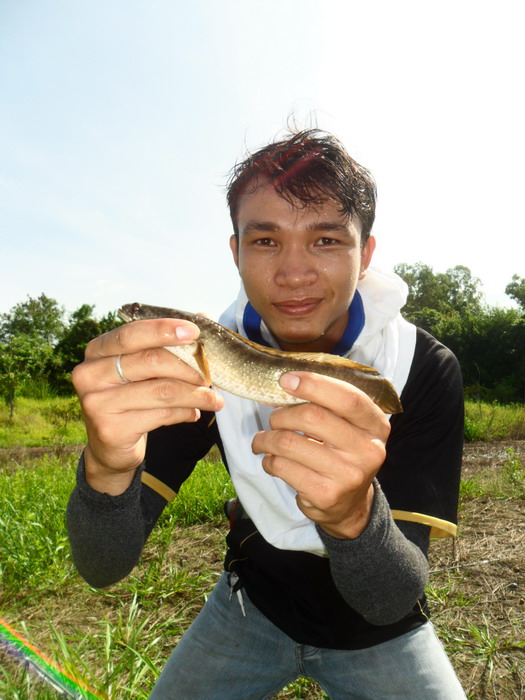 ....ความเหมือนที่แตกต่างที่บางพระ....